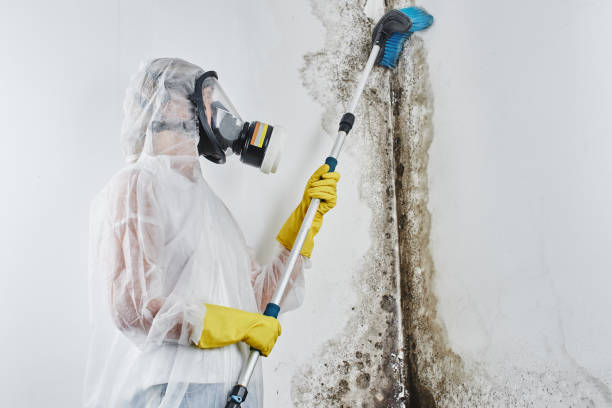 Local water damage restoration in Bagdad, AZ